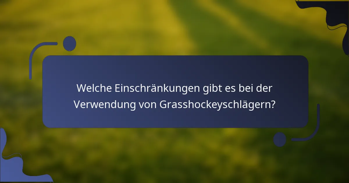 Welche Einschränkungen gibt es bei der Verwendung von Grasshockeyschlägern?